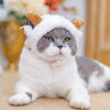 114529-9803cc.jpg Couvre-chef mignon pour chat & chien – Bonnet chaud dessin a