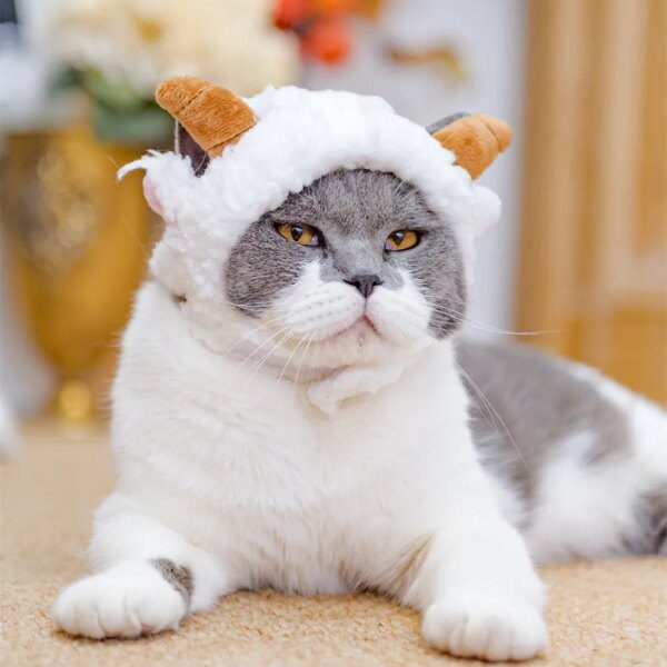 114529-9803cc.jpg Couvre-chef mignon pour chat & chien – Bonnet chaud dessin a