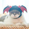 114529-d96621.jpg Couvre-chef mignon pour chat & chien – Bonnet chaud dessin a