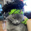Chapeau Punk pour chat Sphynx – Kitty Cosplay tressé