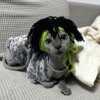 Chapeau Punk pour chat Sphynx – Kitty Cosplay tressé