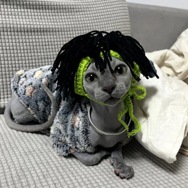 Chapeau Punk pour chat Sphynx – Kitty Cosplay tressé
