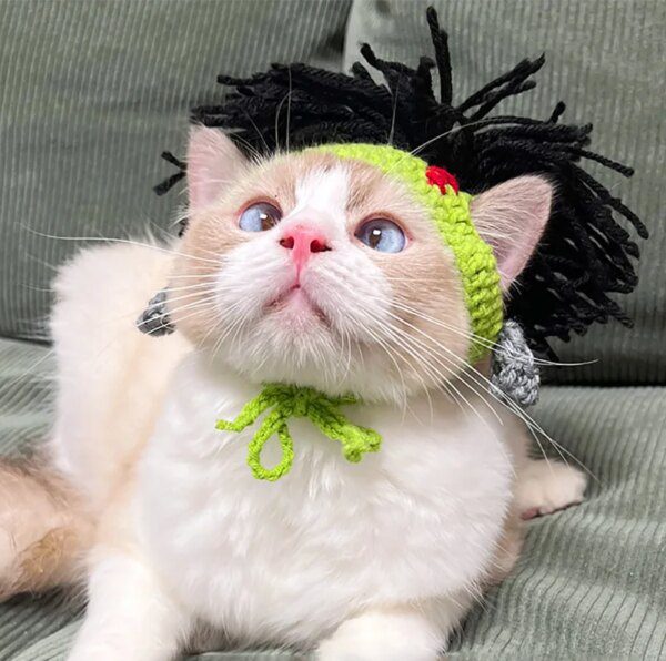 Chapeau Punk pour chat Sphynx – Kitty Cosplay tressé