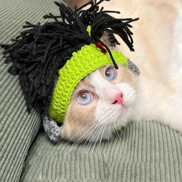 Chapeau Punk pour chat Sphynx – Kitty Cosplay tressé