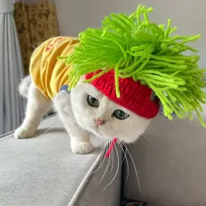 Reggae Green