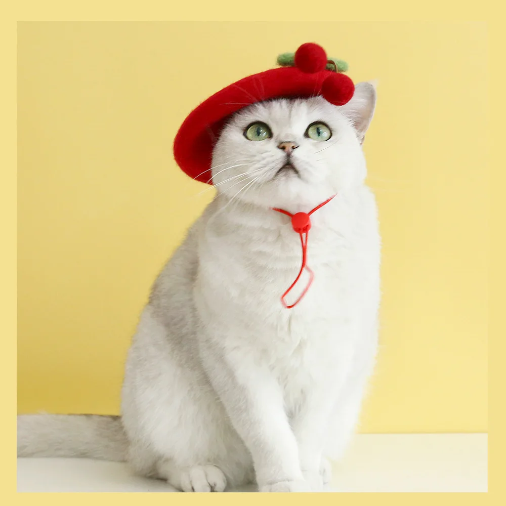 Chapeau & accessoires de Noël pour chat – Costume festif