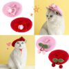 Béret en laine avec nœud papillon pour chat – Accessoire photo