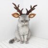 Chapeau pour chat réglable en bois pour chat, coiffe, décoration de noël