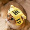 Bonnet pour chat – Casquette à oreilles de lapin mignon