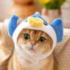 Bonnet pour chat – Casquette à oreilles de lapin mignon