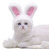 Bonnet Casquette Oreilles de Lapin pour Chat