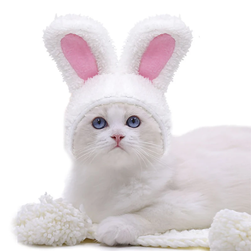 White Bunny
