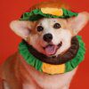 Chapeau Hamburger mignon pour chat & chien – Accessoire cartoon