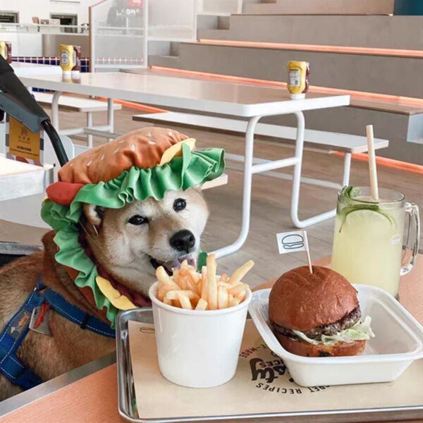 Chapeau Hamburger mignon pour chat & chien – Accessoire cartoon