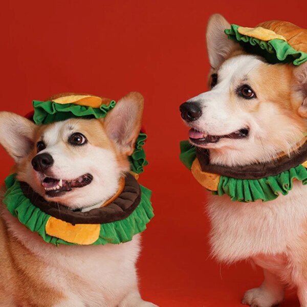 Chapeau Hamburger mignon pour chat & chien – Accessoire cartoon