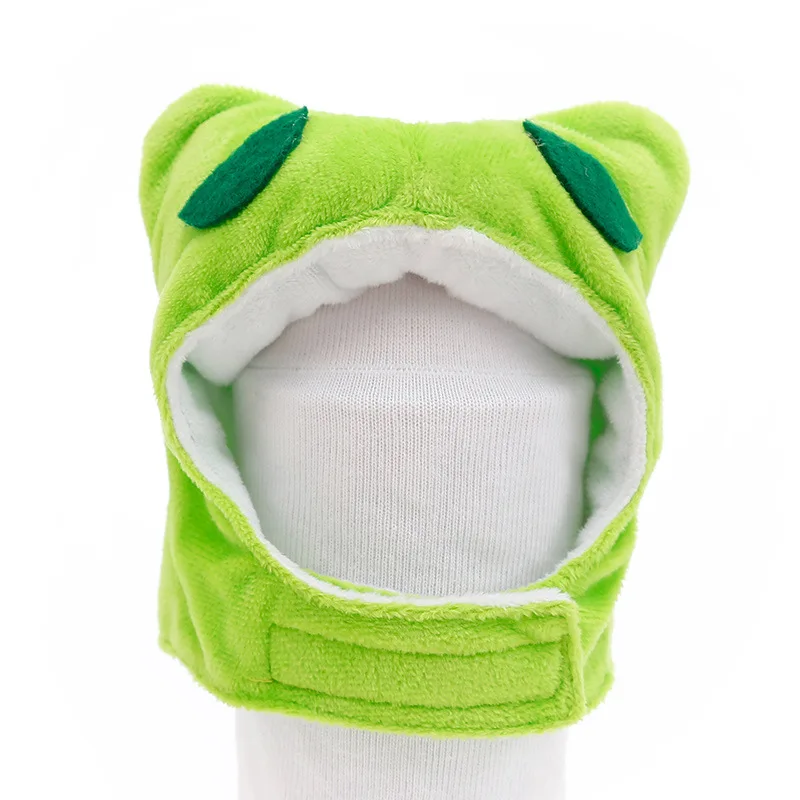 frog