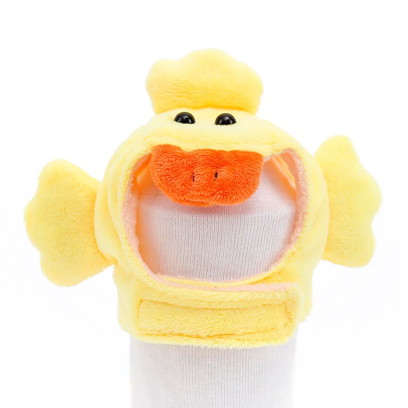 duck