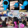 Jouet à Mâcher en Caoutchouc TPR pour Petit Chien – Dentition, Dressage
