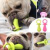 Jouet à Mâcher en Caoutchouc TPR pour Petit Chien – Dentition, Dressage