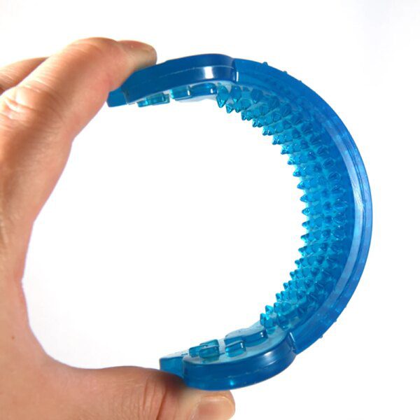 Jouet pour chien à mâcher en caoutchouc pour animaux de compagnie