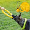 Balle & Disque Volant Interactif pour Chien – Morsure Résistante