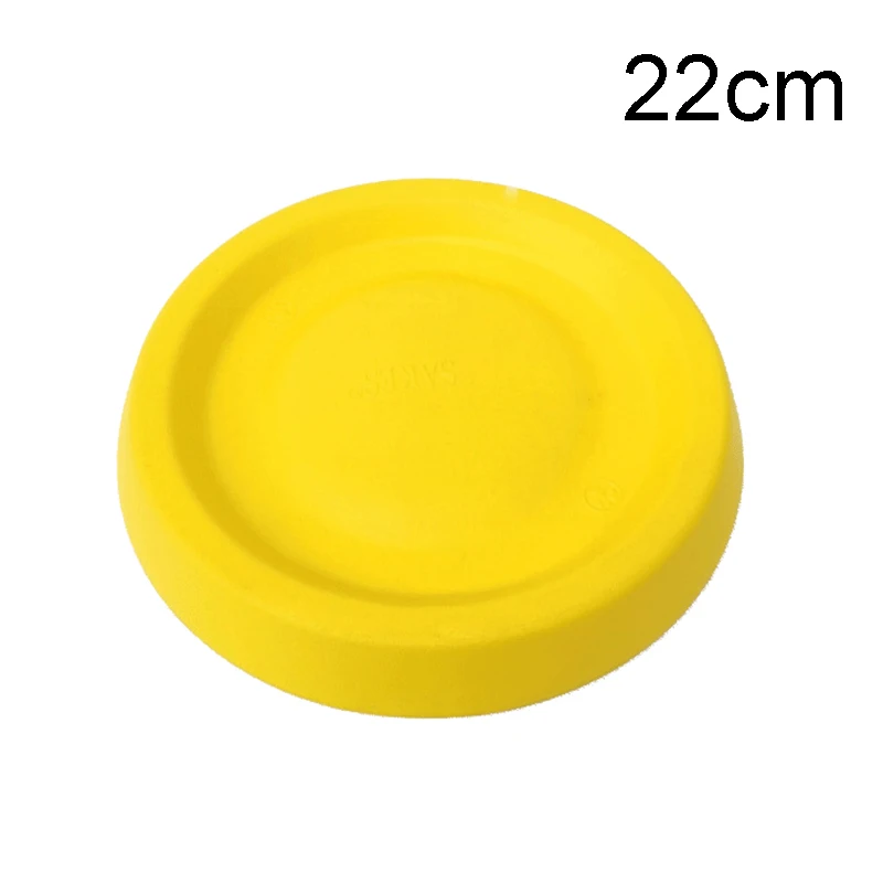 22cm Discs