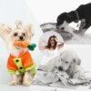 Peluche pour Chien – Pack 10 / 20 / 50 Jouets en Peluche Grinçants
