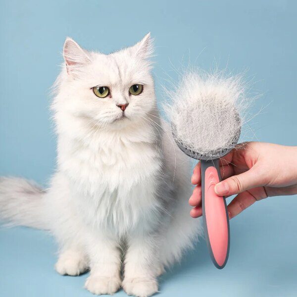 117280-d0f546.jpg Brosse chat de toilettage pour animaux de compagnie