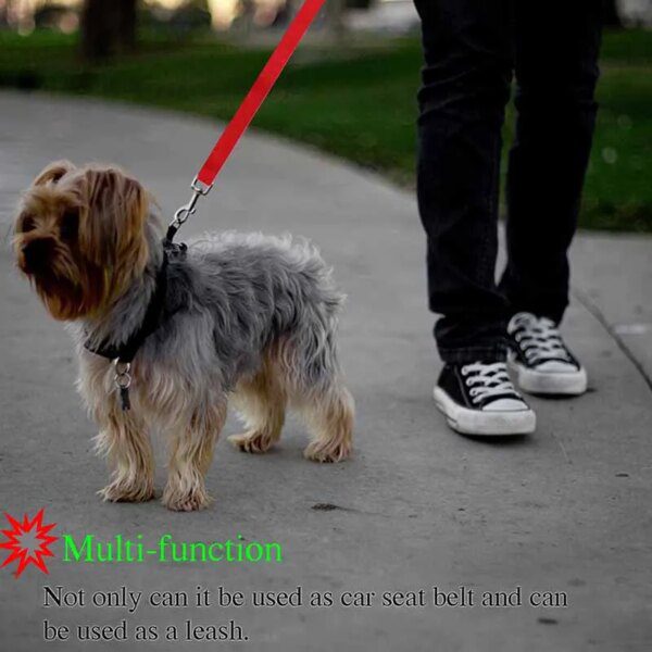 118527-4a82e5.jpg Laisse de Sécurité Réglable en Nylon pour Chien – Ceinture