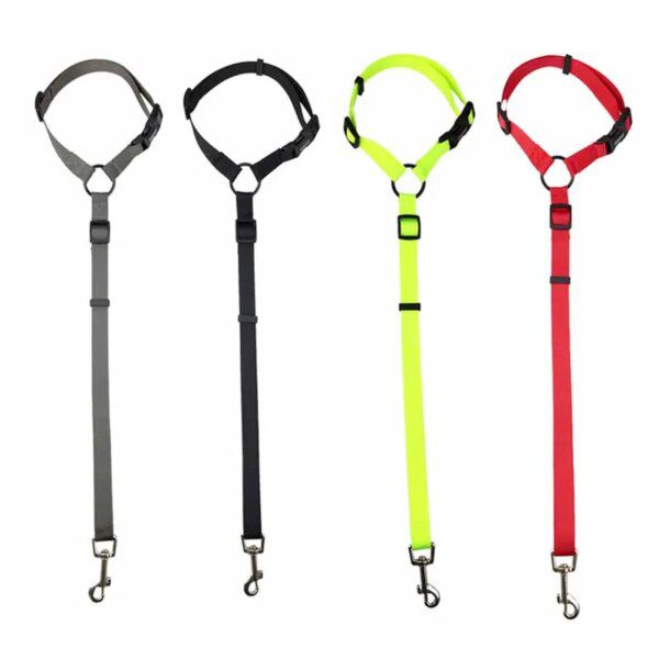 118527-a94fe9.jpg Laisse de Sécurité Réglable en Nylon pour Chien – Ceinture