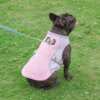 Gilet rafraîchissant respirant 3-en-1 pour chien – Été frais / Automne