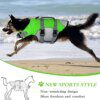 Gilet de sauvetage réfléchissant pour chien – Flottabilité sécurisée