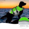 Gilet de sauvetage réfléchissant pour chien – Flottabilité sécurisée