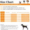 Gilet de sauvetage réfléchissant pour chien – Flottabilité sécurisée