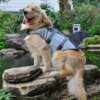 Gilet de sauvetage pour chien, vêtements pour animaux domestiques