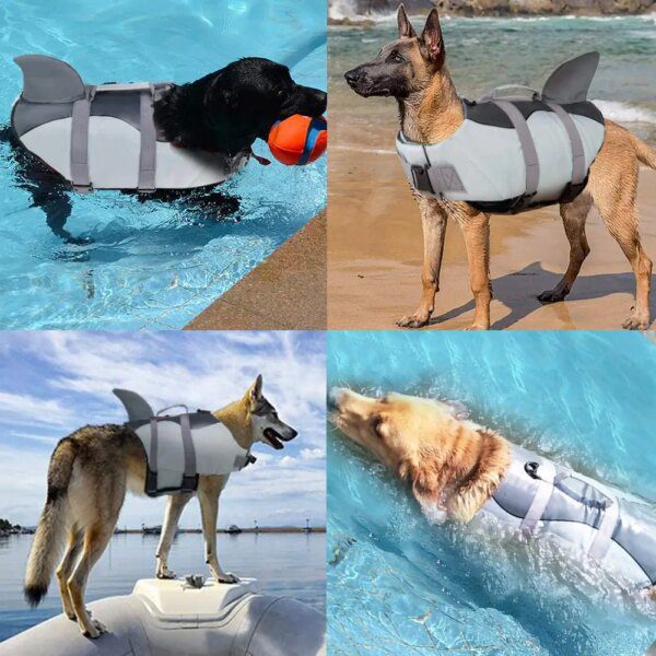 Gilet de sauvetage pour chien EMUST 🛟 sécurité aquatique