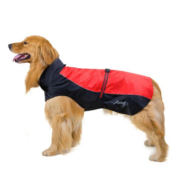 Veste imperméable réfléchissante pour chien 🧥 sécurité extérieure