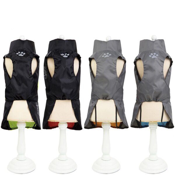 Veste imperméable réfléchissante pour chien 🧥 sécurité extérieure