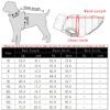 Veste d’hiver réversible imperméable pour chien 🧥 chaleur modulable