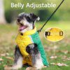 Veste imperméable d’hiver pour chiens moyens & grands 🧥 protection totale
