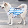 Sweat léger pour chien 🐾 confort mi-saison & liberté de mouvement