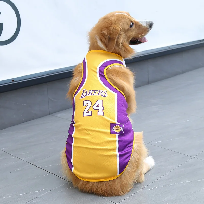 No. 24 purple yellow