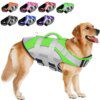 Gilet de sécurité d’été pour chien 🌊 flottaison stable & contrôle immédiat