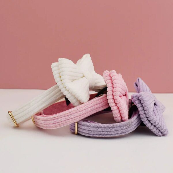 Collier Chat Personnalisé en Satin & Velours – Gravure Offerte