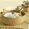 Lit pour Chat Quatre Saisons – Panier Tissé Naturel avec Coussin