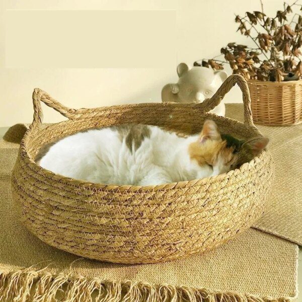 Lit pour Chat Quatre Saisons – Panier Tissé Naturel avec Coussin