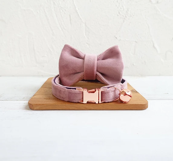 Pink Bow tie collar