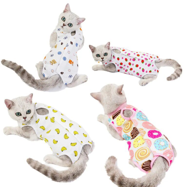 Pull pour chat : les signes de confort que les maitres oublient souvent