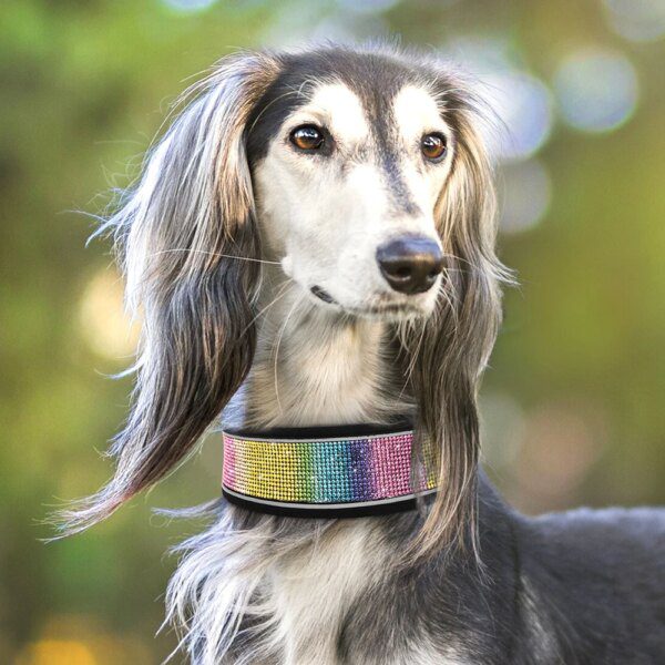 Collier Large en Cuir Suédé Bling pour Chiens Moyens & Grands – Confort