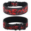 Collier Réfléchissant Haute Visibilité pour Chiens Moyens & Grands – Sécurité